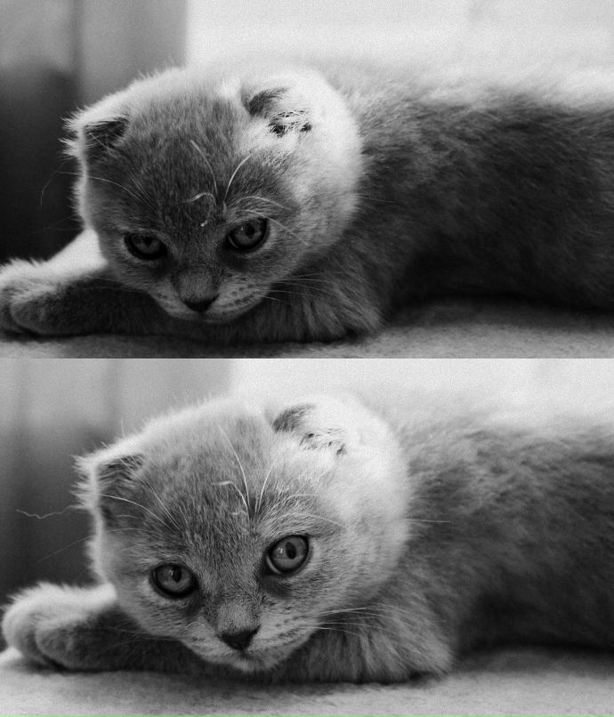 Мария Беклер | Москва