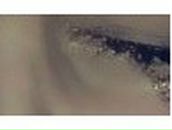 Олександра Вінярчик | Борислав