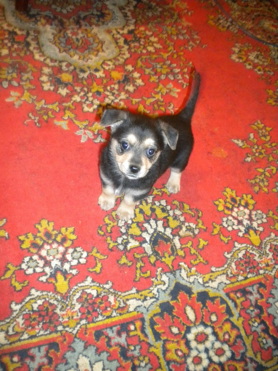 Дмитрий Плющ | Керчь