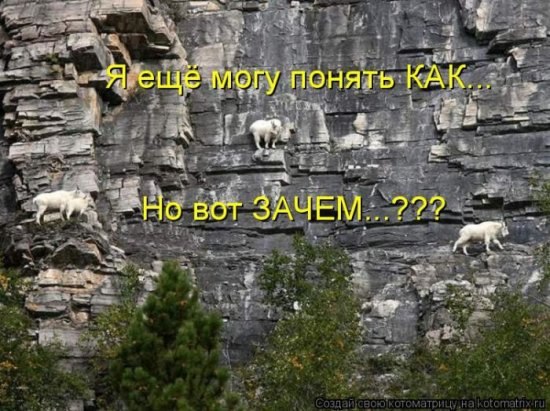 Ирина Семёнова | Ростов-на-Дону