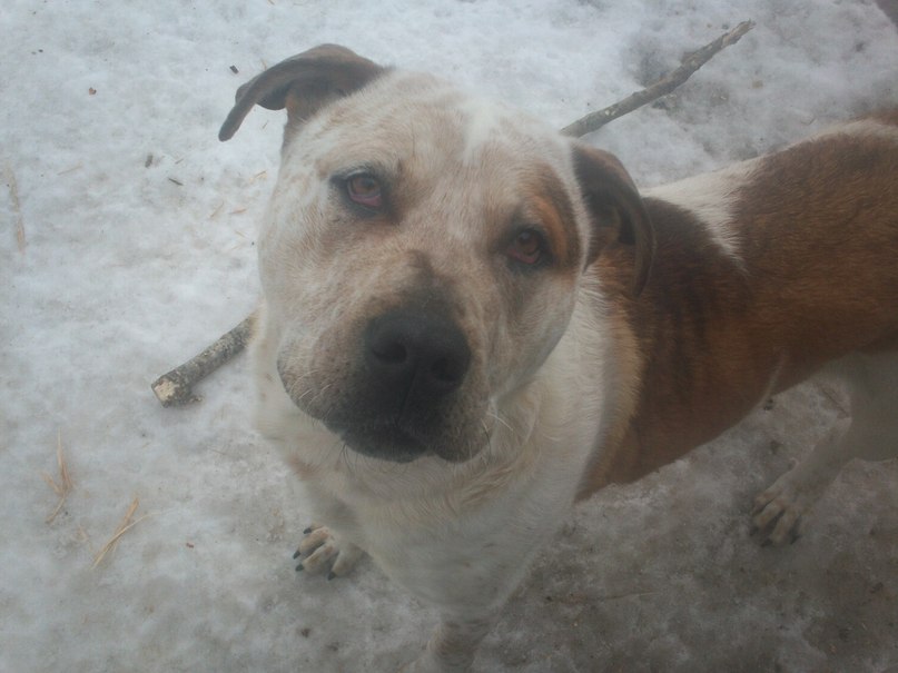 Сергей Плотников <<<СЕРГУНЯ>>> | Вытегра