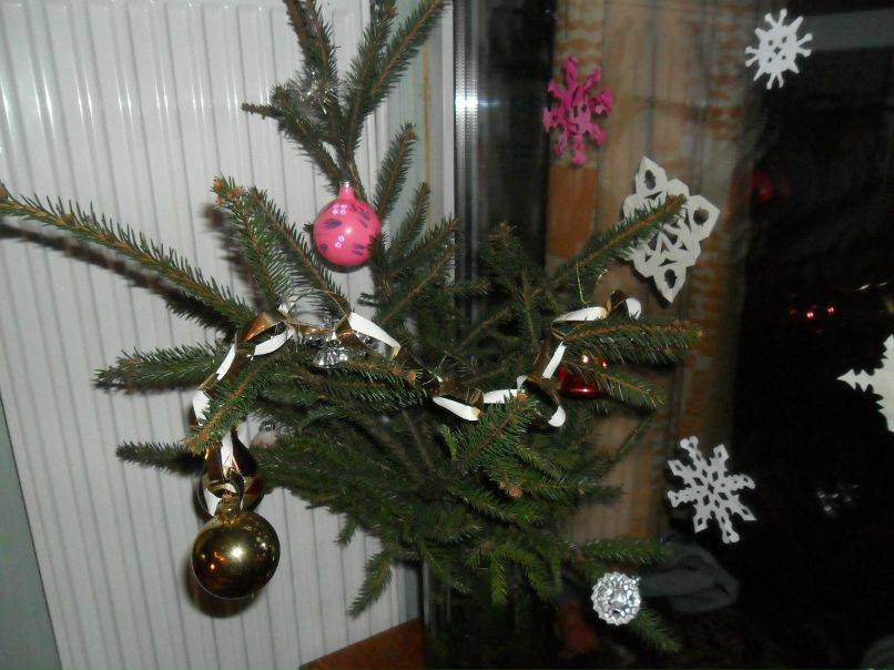 Юрий Бота | Таллин