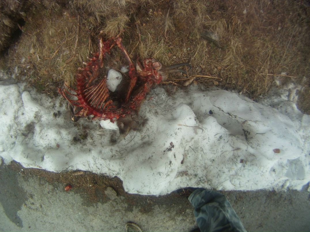 Ira Ovcharova ♥ | Mayrhofen