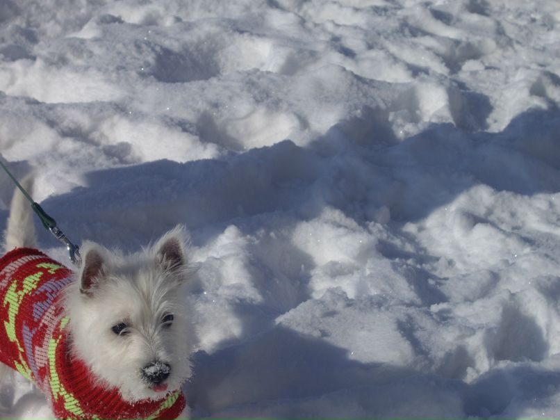 Nastya Lukash | Киев