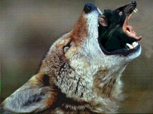 №134, Андрей Гетманчук, Киев №134, Андрей Гетманчук, Киев