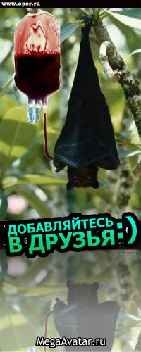 Никита Машков фото профиля #1