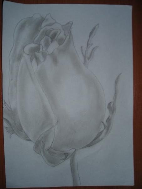 Николай Трембовецкий koper | Томск