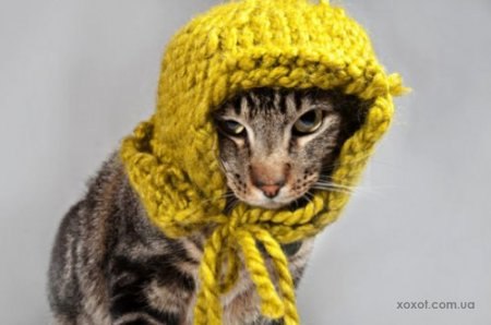 Елена Уткина | Санкт-Петербург