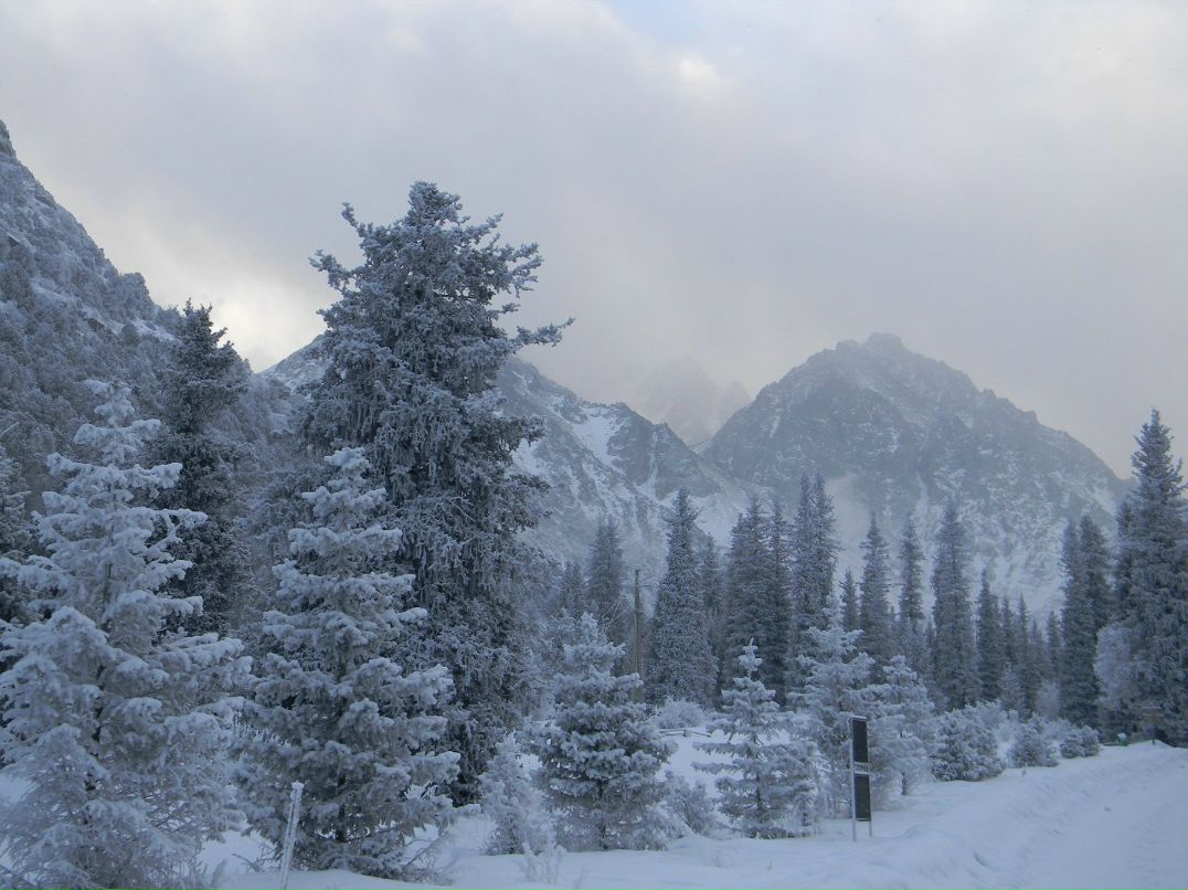 Паша Цветов | 