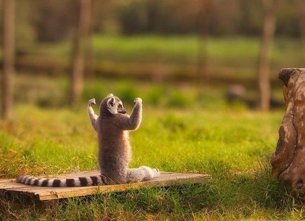 Ирина Подуст | 