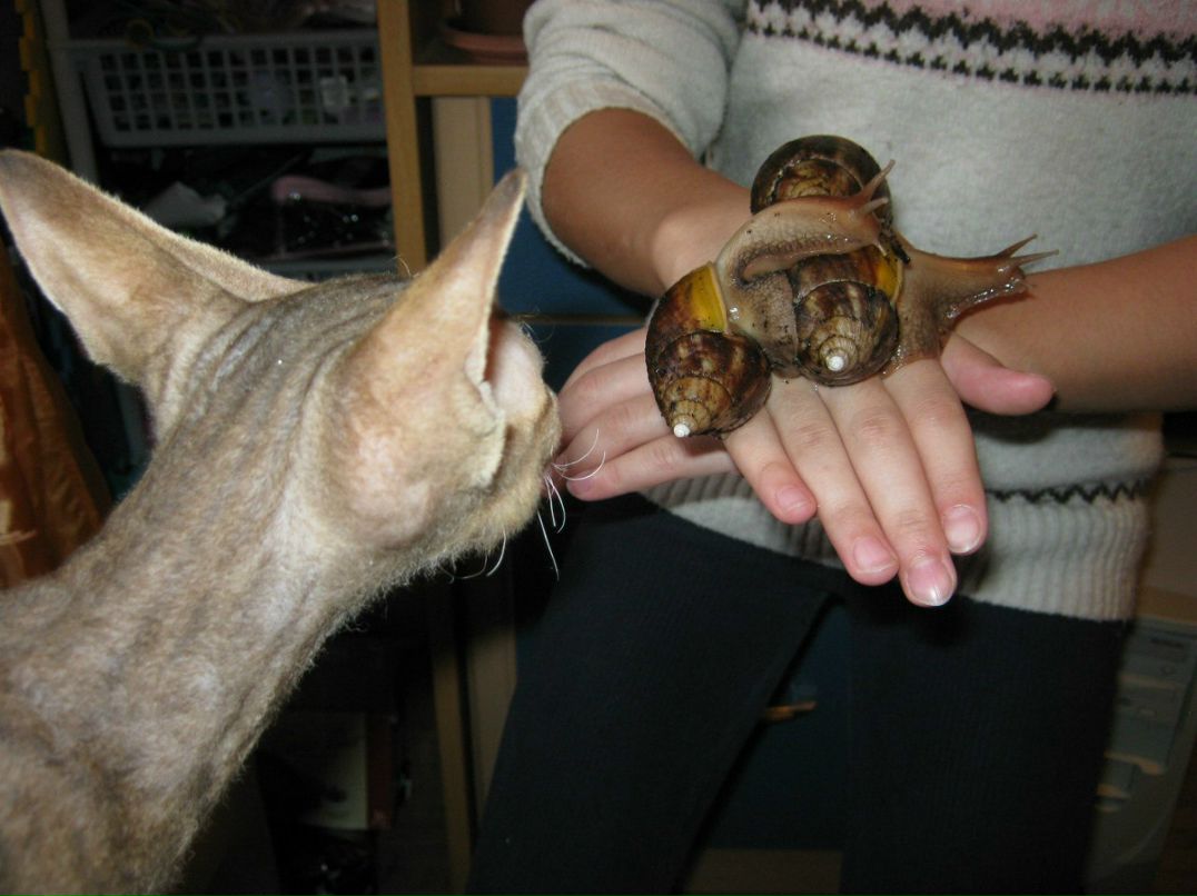 Наталья Загуляева | 