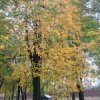 Аватар: Егор Бобруйский