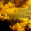 Аватар: Андрей Андреев