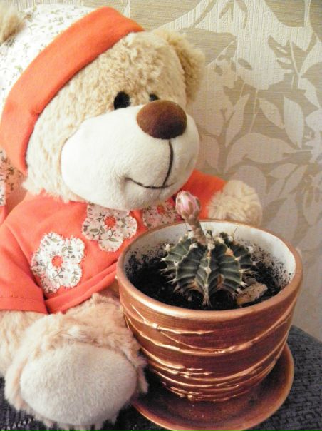 №49, Иришка Толстыкина-Лысенко, 39 лет, Киев №49, Иришка Толстыкина-Лысенко, 39 лет, Киев