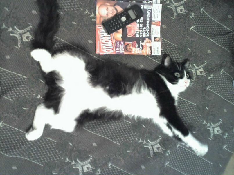 Сергей Виноградов | Санкт-Петербург