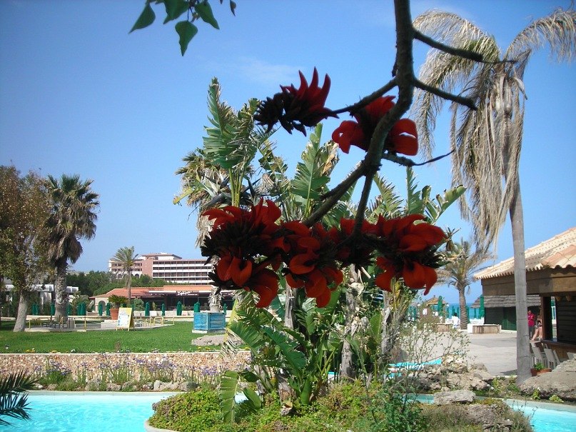 Татьяна Козлова | Санкт-Петербург