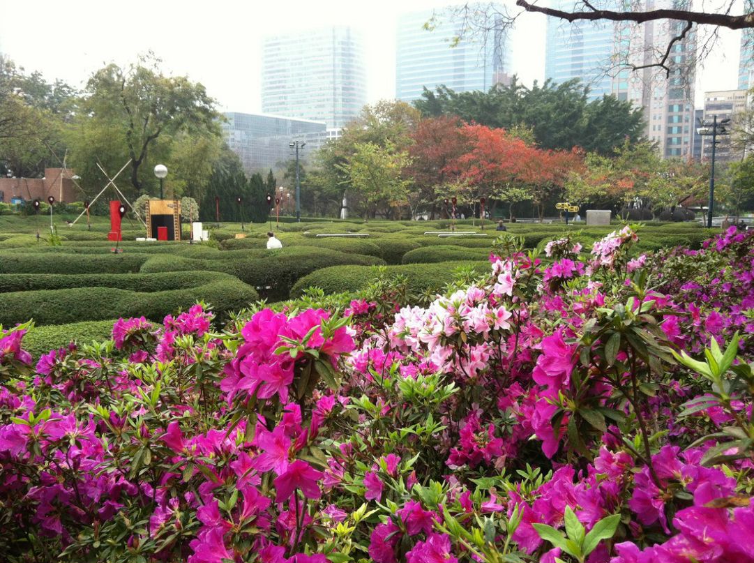 Оксана Драгун | 