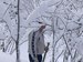 Нина Поболь фотография #35 (источник - https://vk.com/id87083215)