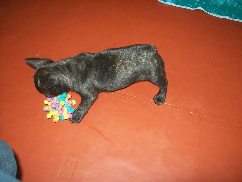 №1, Михаил Прохоров, 46 лет, Харьков №1, Михаил Прохоров, 46 лет, Харьков