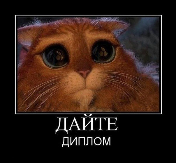 Аня Шульгина | Санкт-Петербург