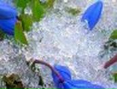 Сергей Антко - и - Светлана | Николаев