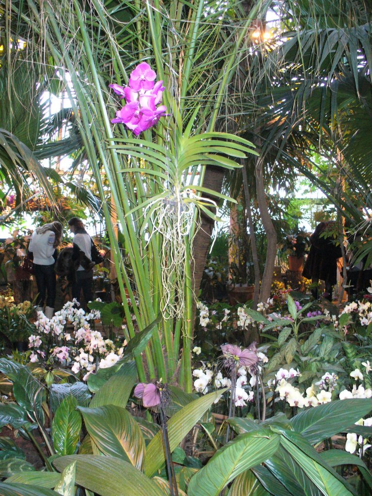 Татьяна Голубева | Москва