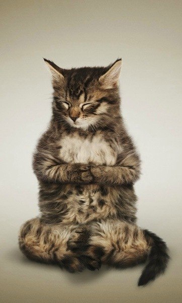 Univer Univer | Basel