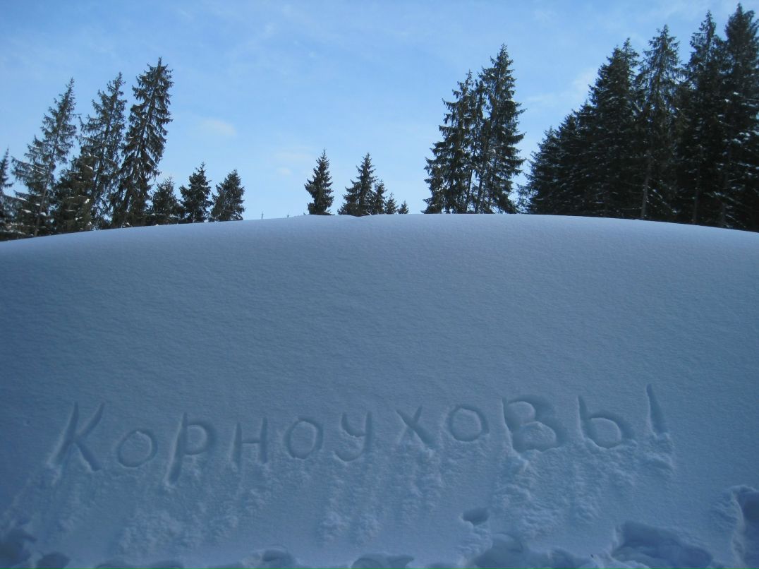 Юлия Корноухова | Москва