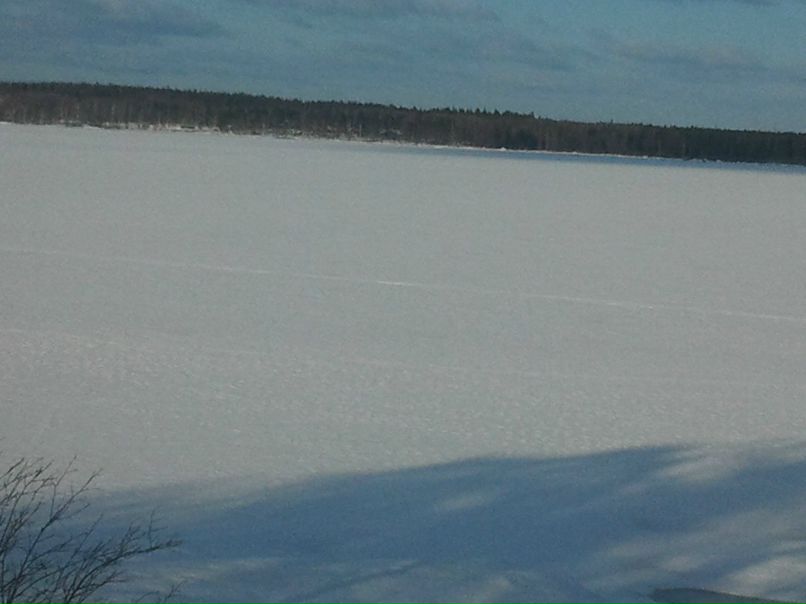 Инна Жих | Москва