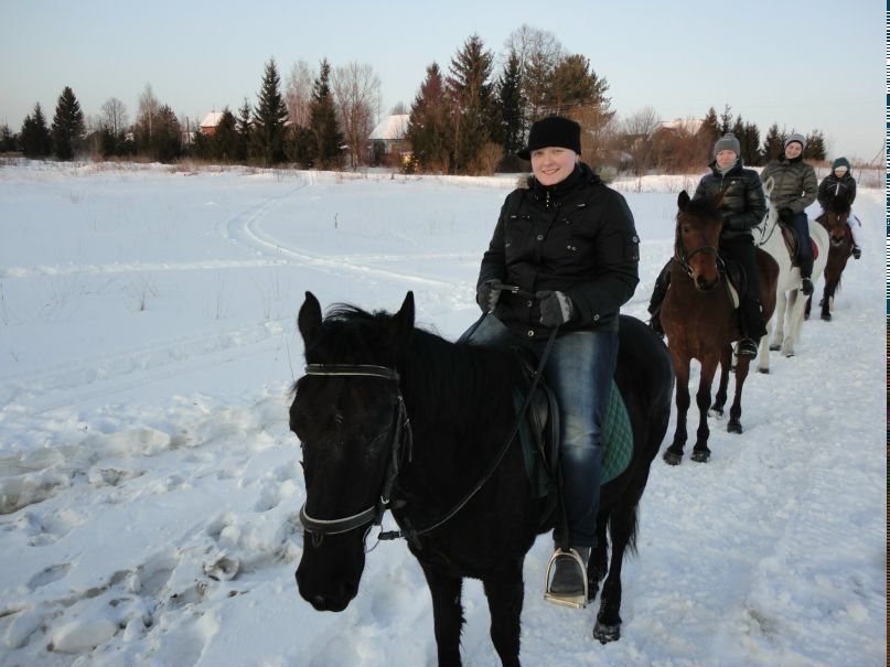 Елена Тарханова *Жираffа* | Москва