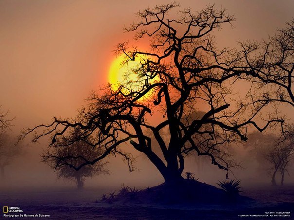 Анна Антименкова Нют | 