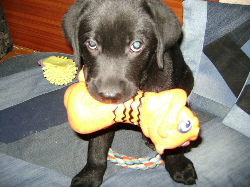 Паша Роскин | Мурманск