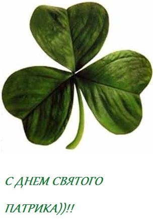 Ольга Лихачёва *пЧЕла)))* | Белая Церковь