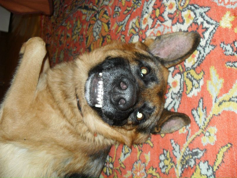 Настя Пупко | Минск