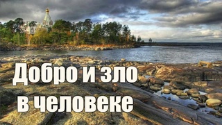 Добро и зло в естестве человеке. Как победить себя? Свт.Игнатий(Брянчанинов)
