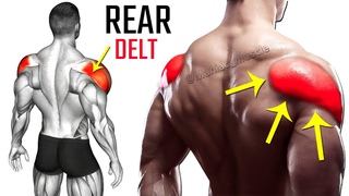 Best Rear Delt Workout At Gym - Rear Delt