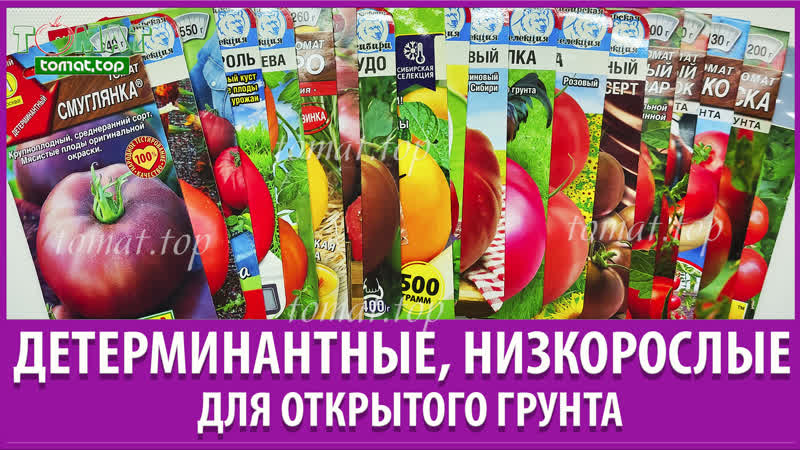 Выбор детерминантных, низкорослых сортов томатов для