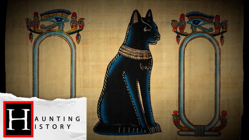 The History Of Black