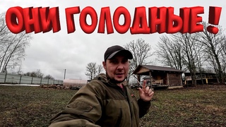 ЕДЫ НЕТ , НО ВЫ ДЕРЖИТЕСЬ !