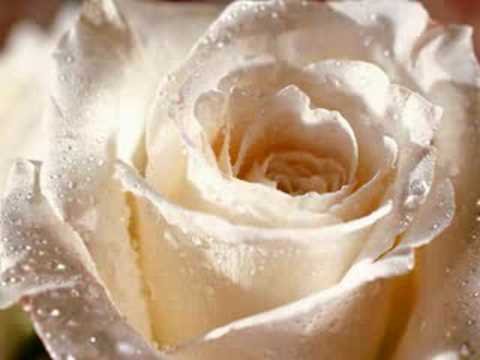 nella fantasia in my fantasy celtic