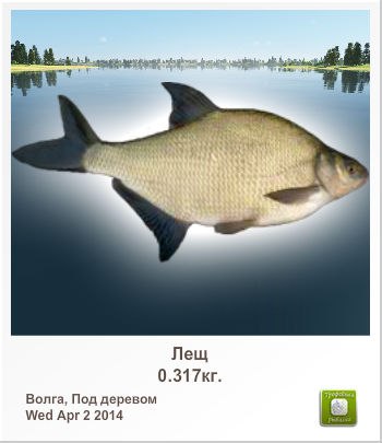 Андрей Уткин | Щекино