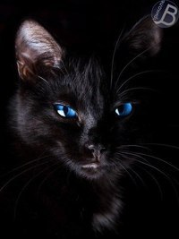 Анастасия Воробьёва | Ярославль