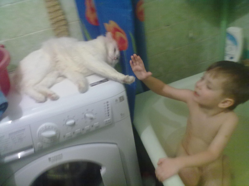 Станислав Никитенко | Ачинск