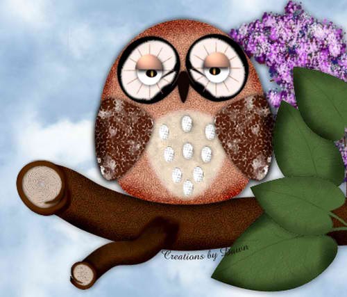 Татьяна Шелухина | Воркута