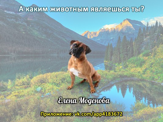 Елена Моденова | Бежецк