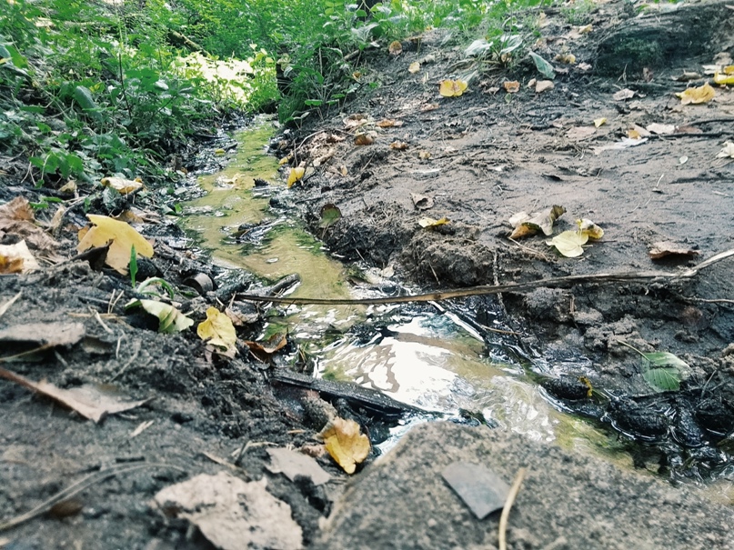 Яна Харитонова | Москва