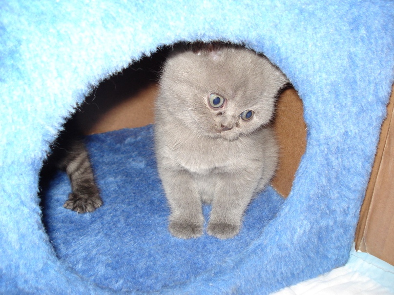 Максим Слипченко | Харьков