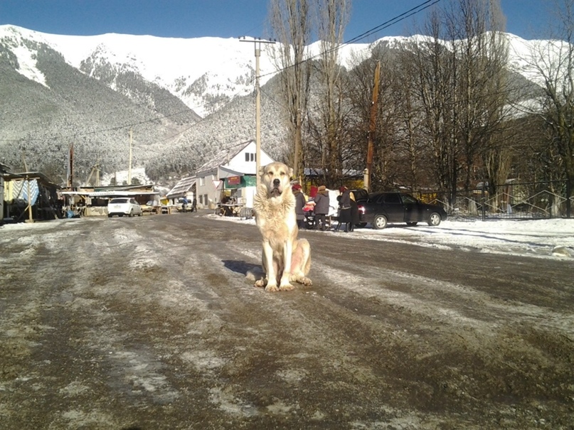 Алексей Пономаренко | Краснодар