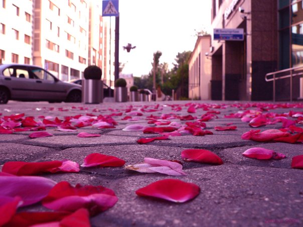Оля Веселова | Санкт-Петербург