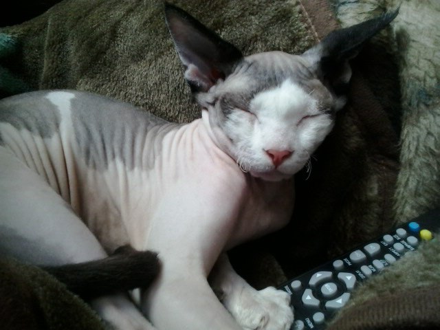 Людмила Селькина | Москва